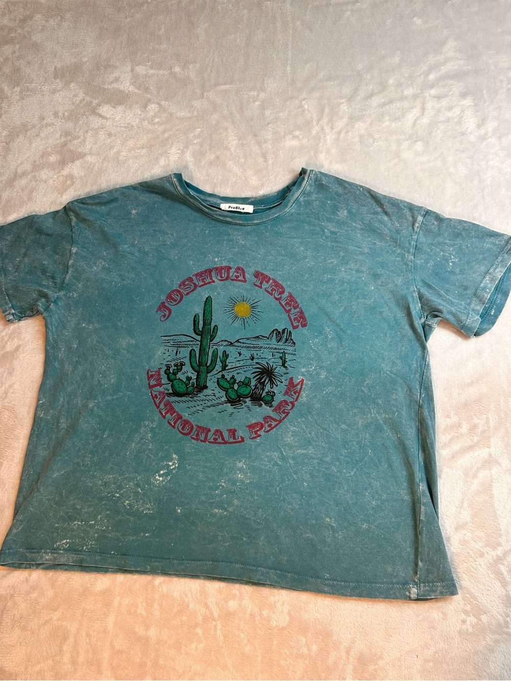 Joshua Tree Graphic Tee - Teal Short Sleeve